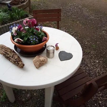 Kleines Nest *